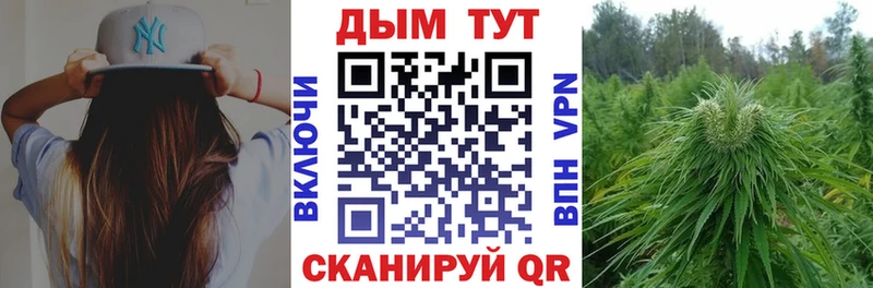 сколько стоит  Волоколамск  Канабис план 